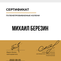 Сертификат Миша На сайт